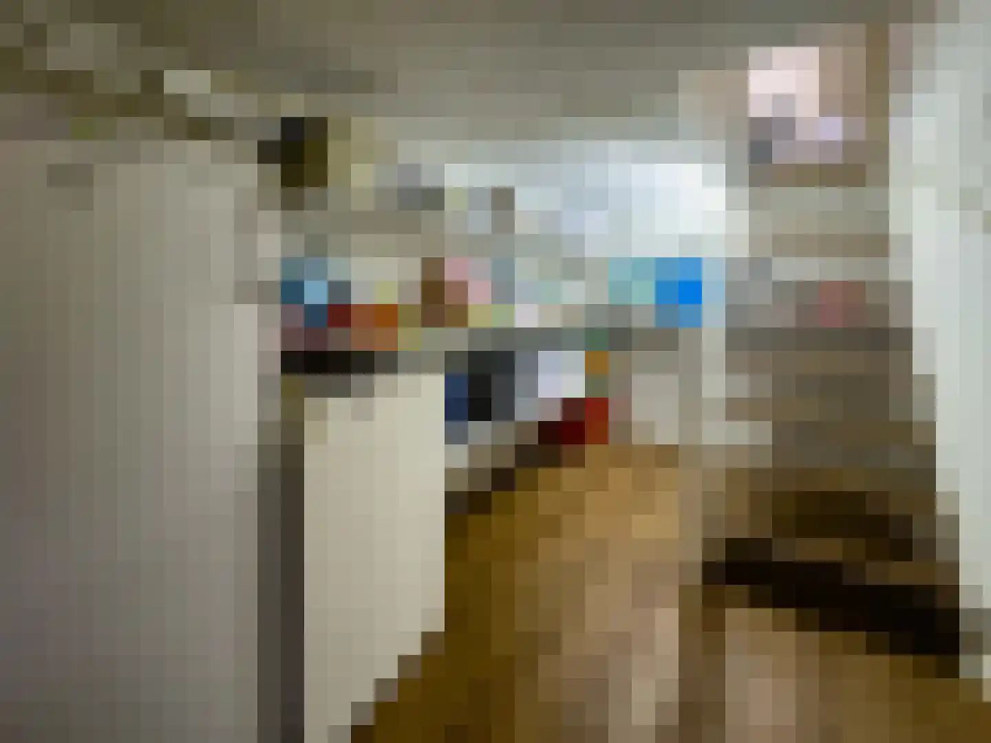 Heidestraat 14 Siebengewald thumbnail 17