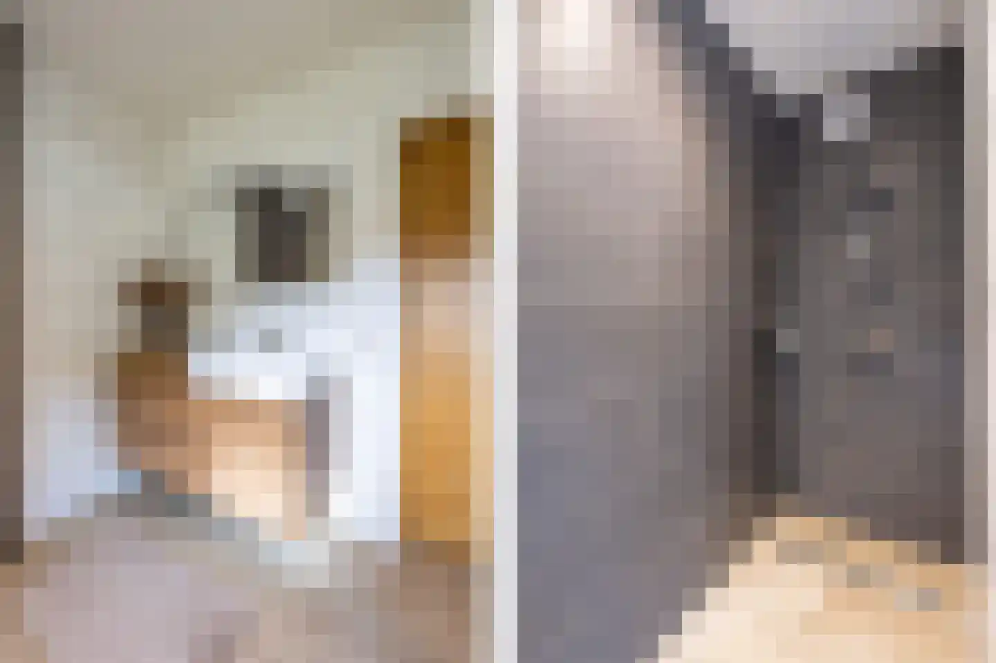 Heidestraat 14 Siebengewald thumbnail 22