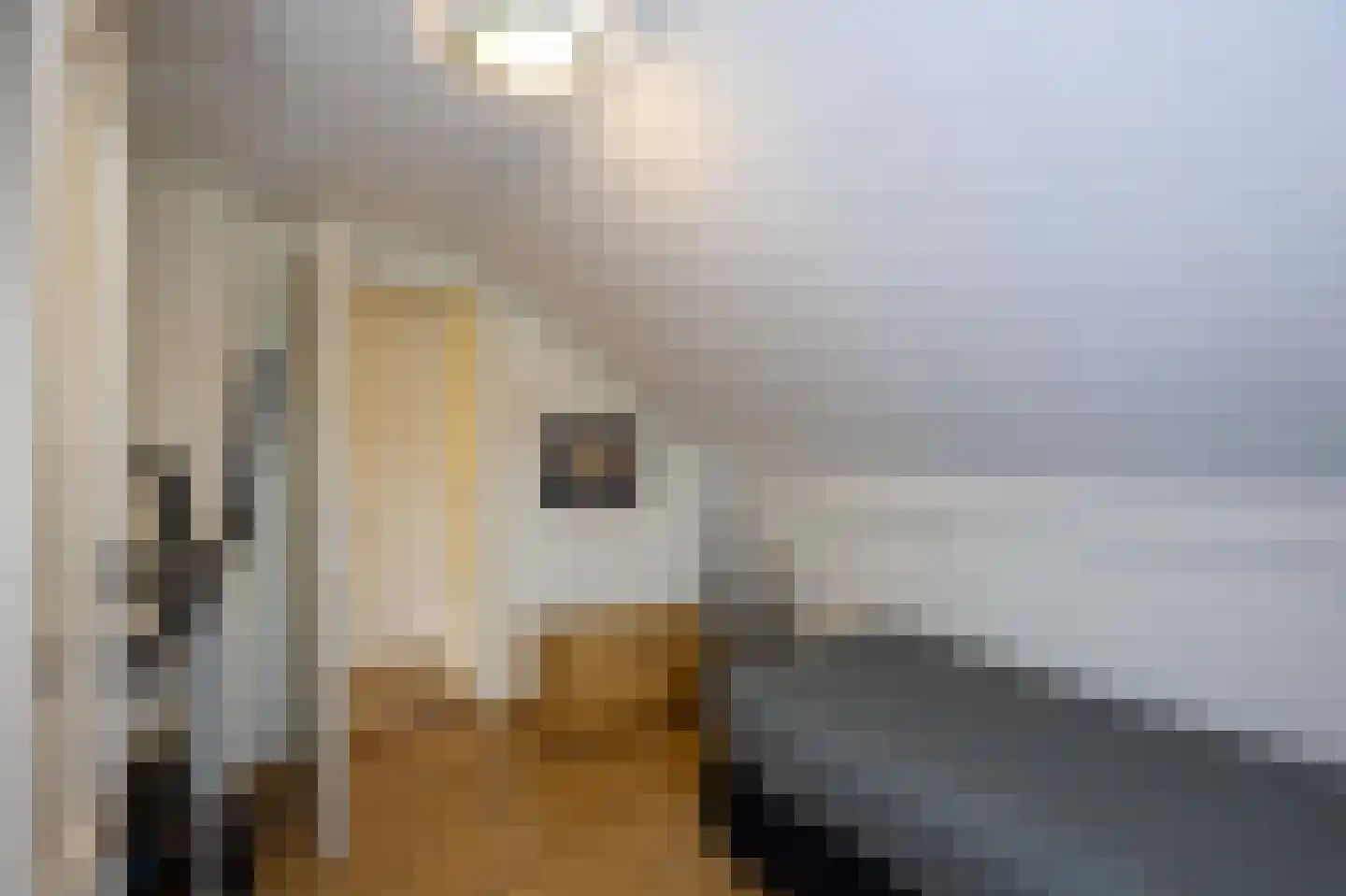 Heidestraat 14 Siebengewald thumbnail 29