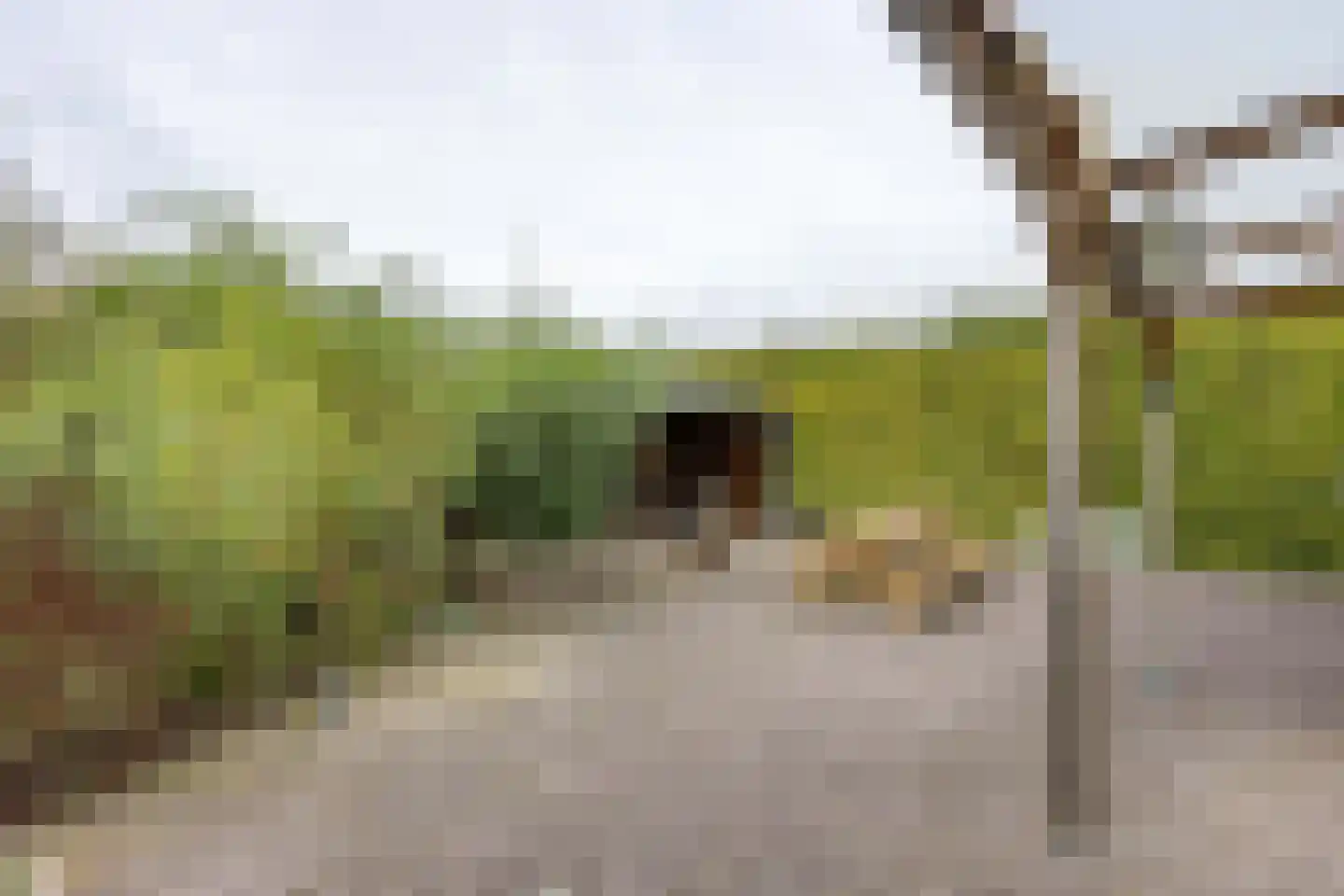 Heidestraat 14 Siebengewald thumbnail 33