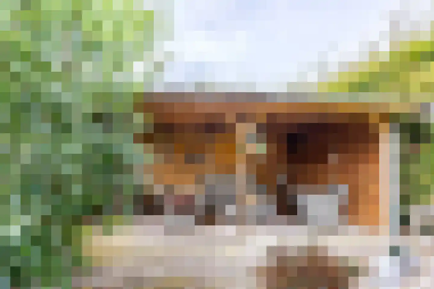 Heidestraat 14 Siebengewald thumbnail 37