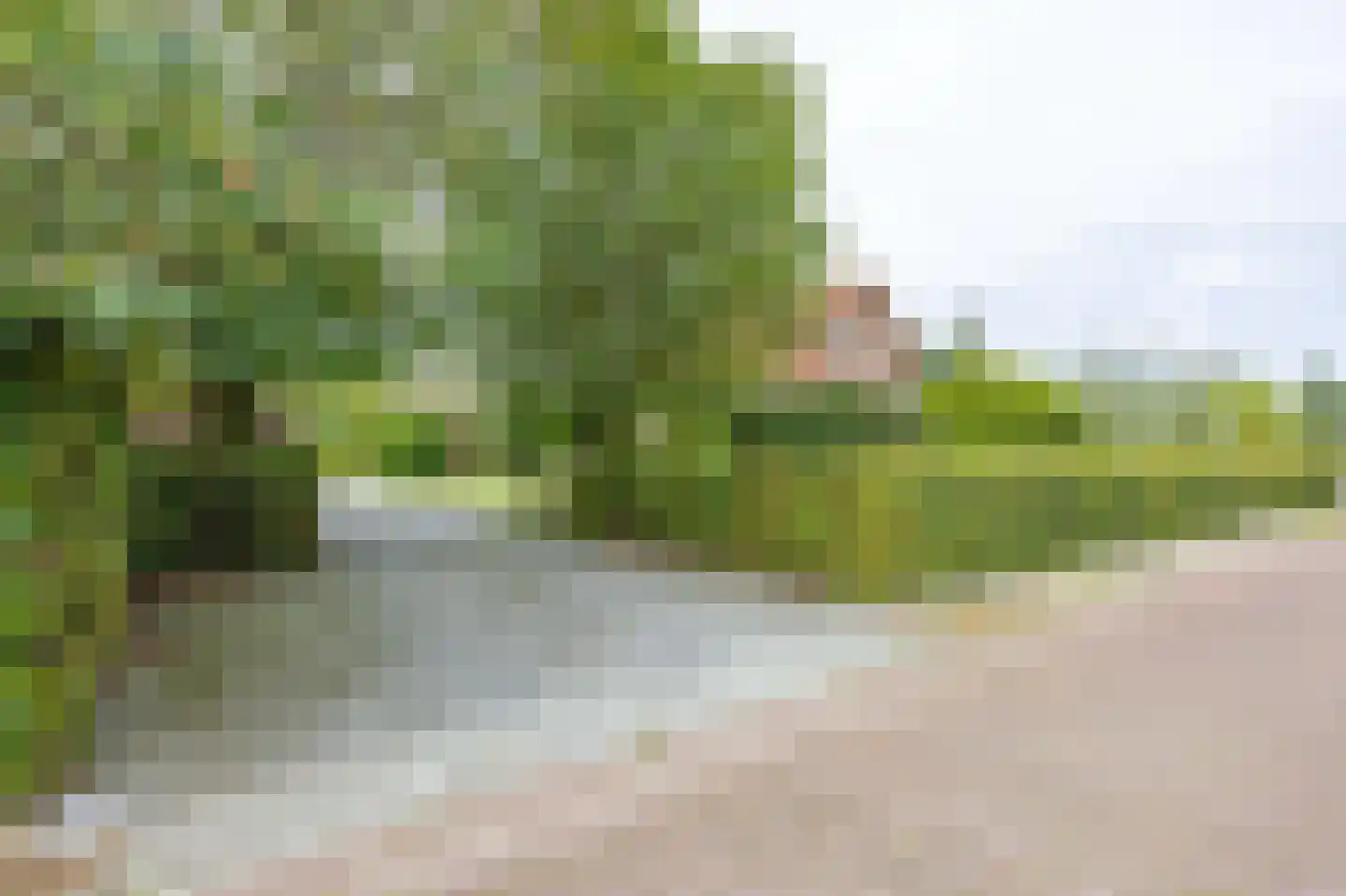 Heidestraat 14 Siebengewald thumbnail 39