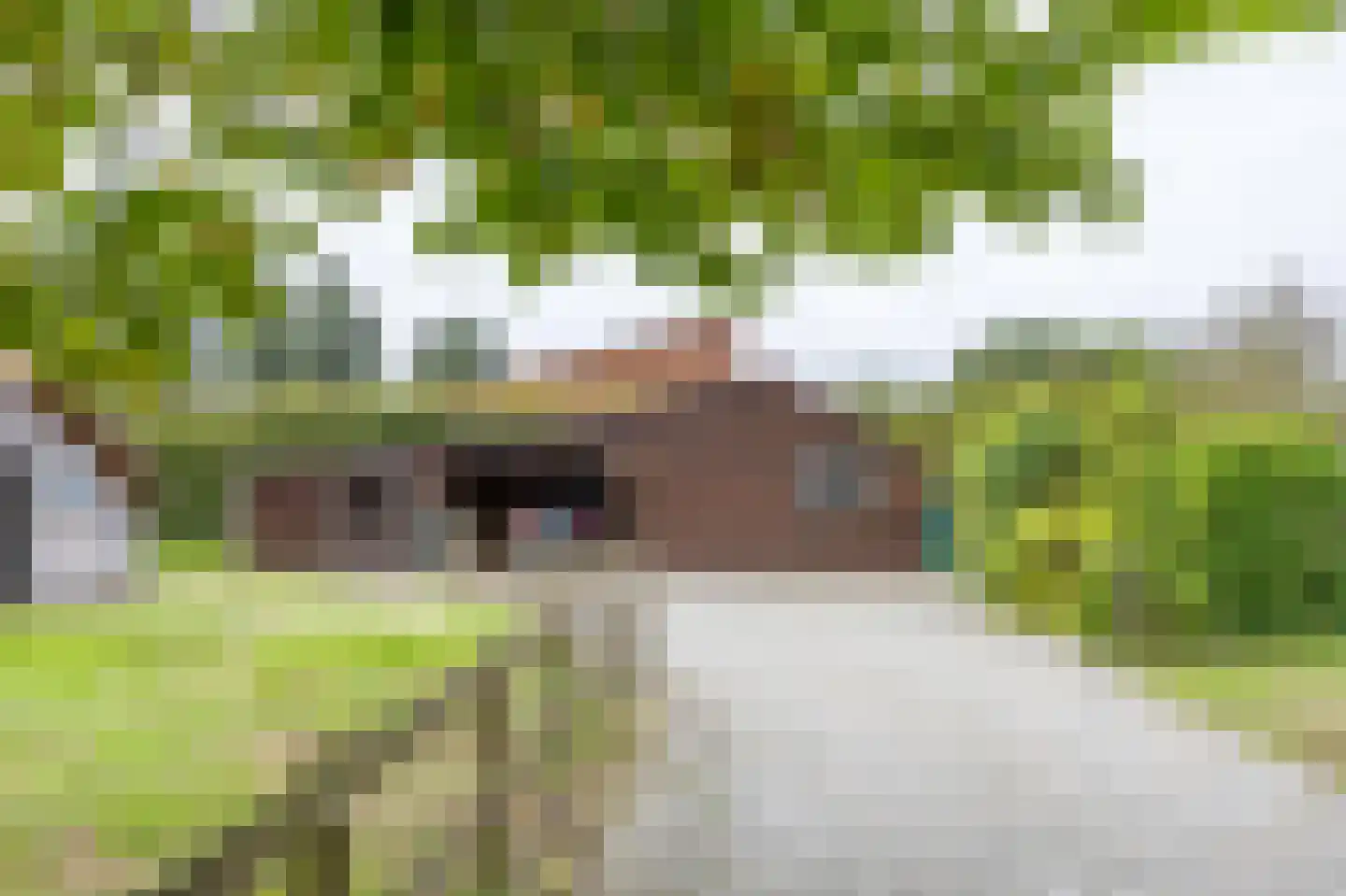 Heidestraat 14 Siebengewald thumbnail 41