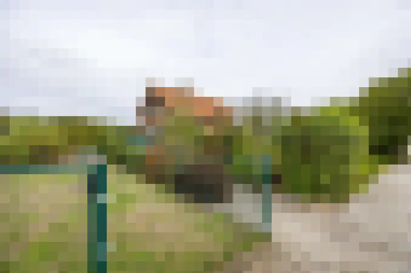 Heidestraat 14 Siebengewald thumbnail 43