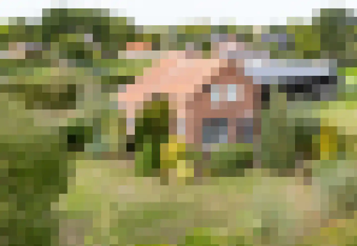 Heidestraat 14 Siebengewald thumbnail 5