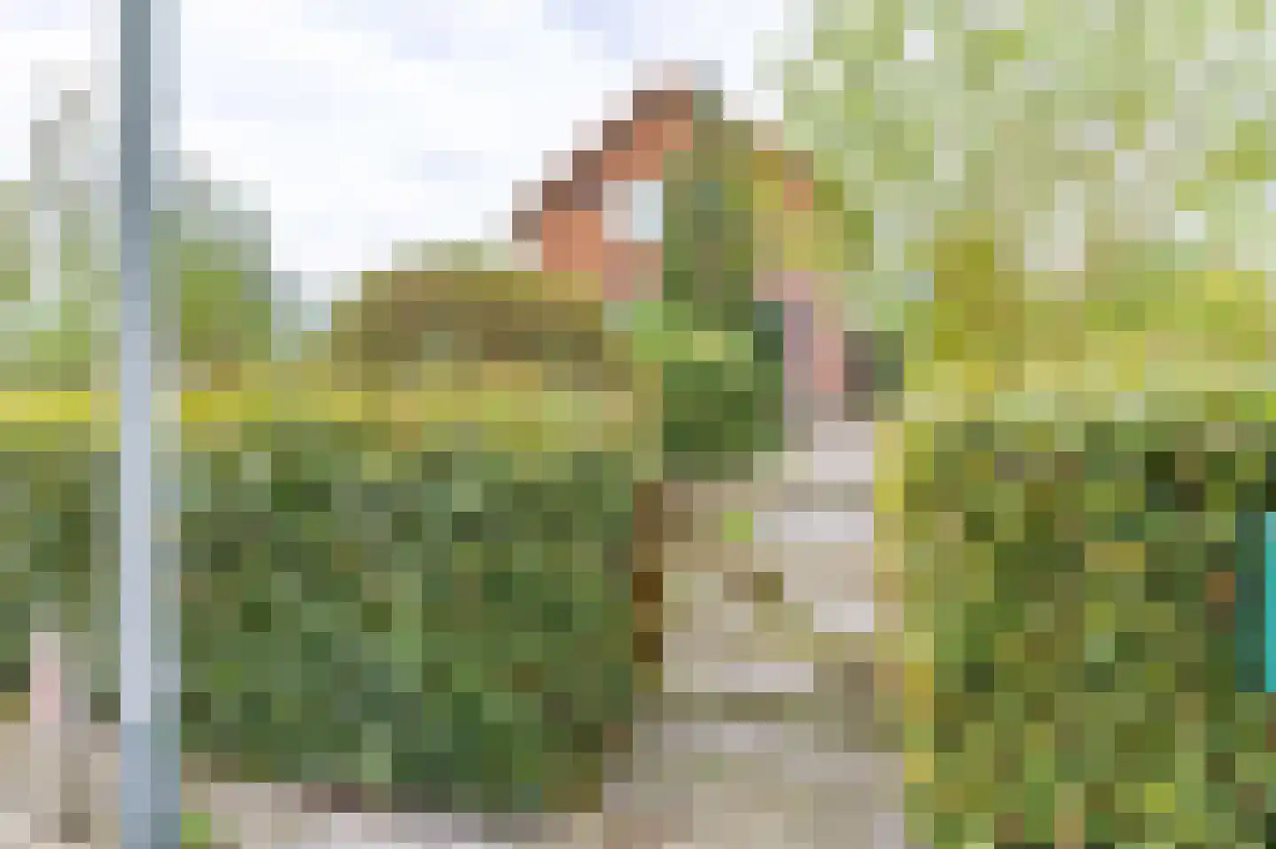 Heidestraat 14 Siebengewald thumbnail 6