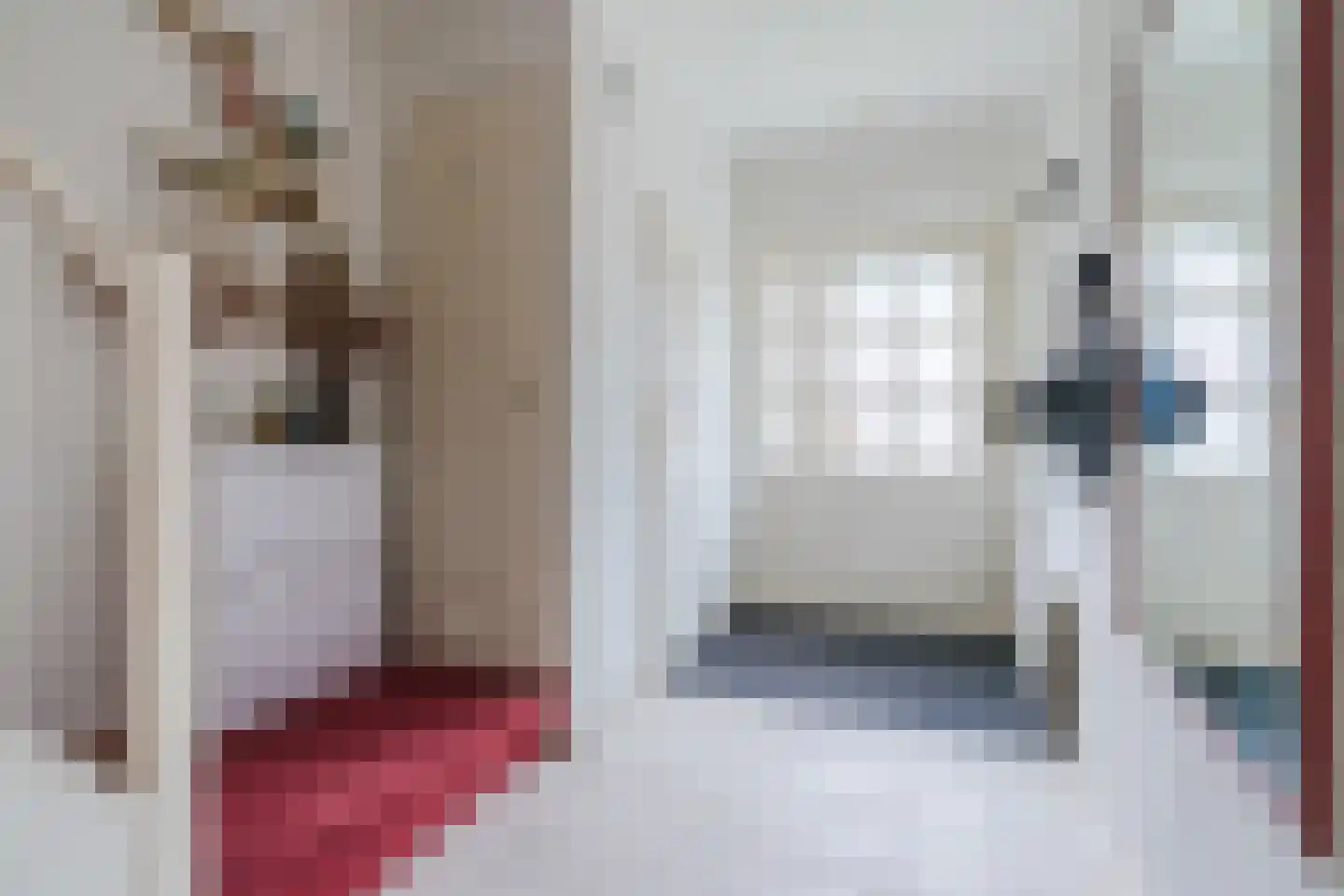 Heidestraat 23 Westerhaar-Vriezenveensewijk thumbnail 6