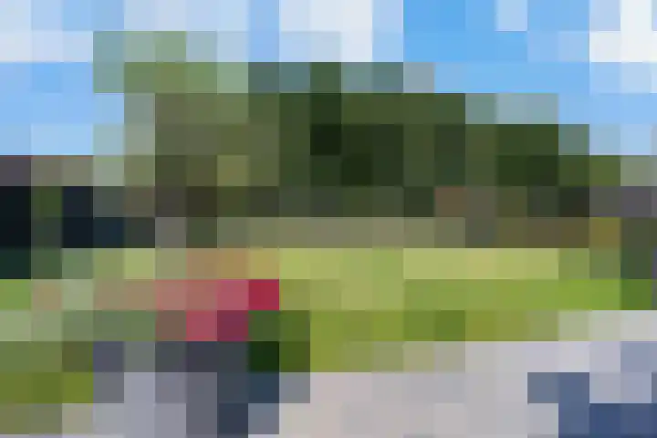Heidestraat 28 Weiteveen thumbnail 38