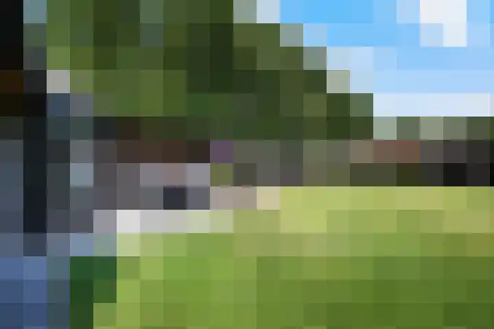 Heidestraat 28 Weiteveen thumbnail 39