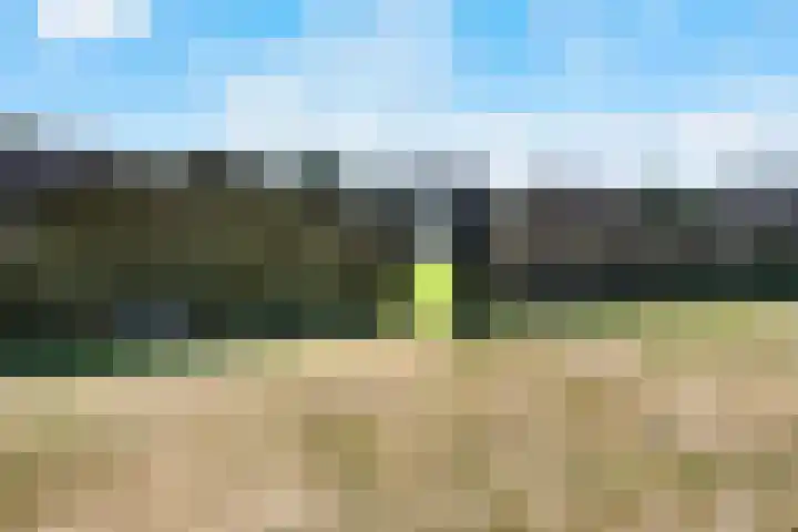 Heidestraat 28 Weiteveen thumbnail 45