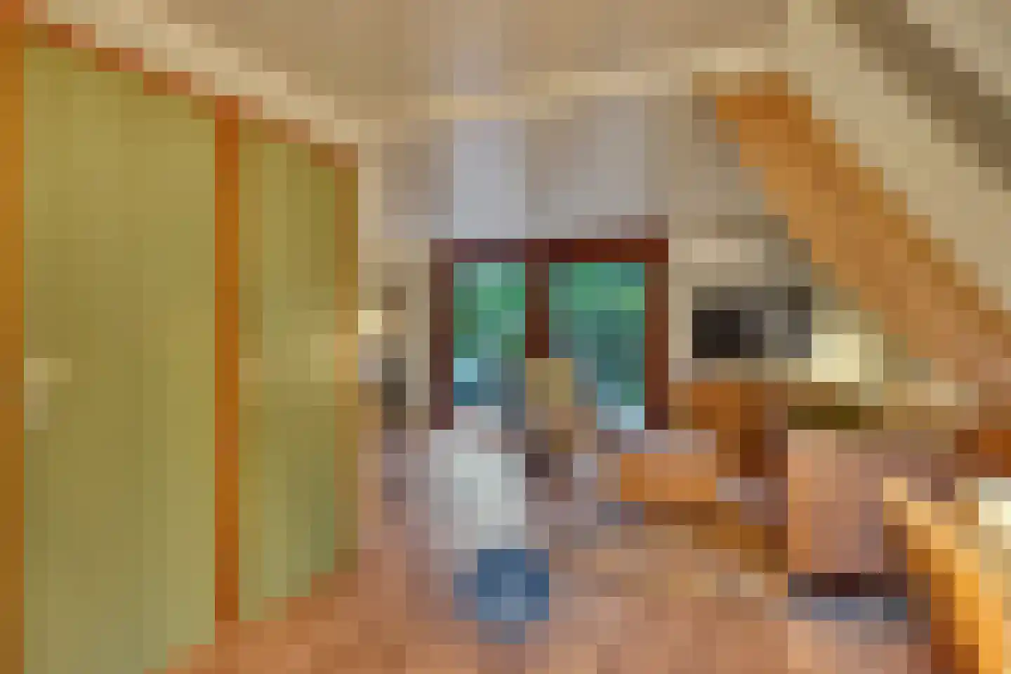 Heidestraat 3621 Lanaken Susteren thumbnail 6