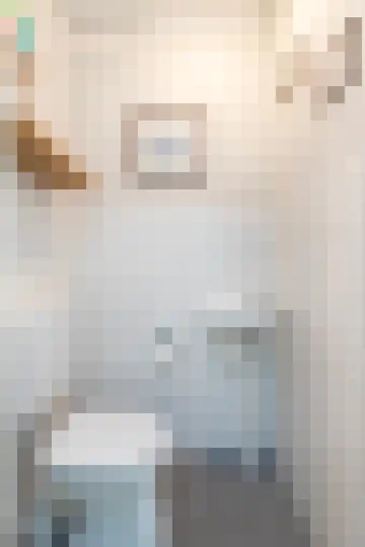 Heidestraat 4 c Putte thumbnail 5