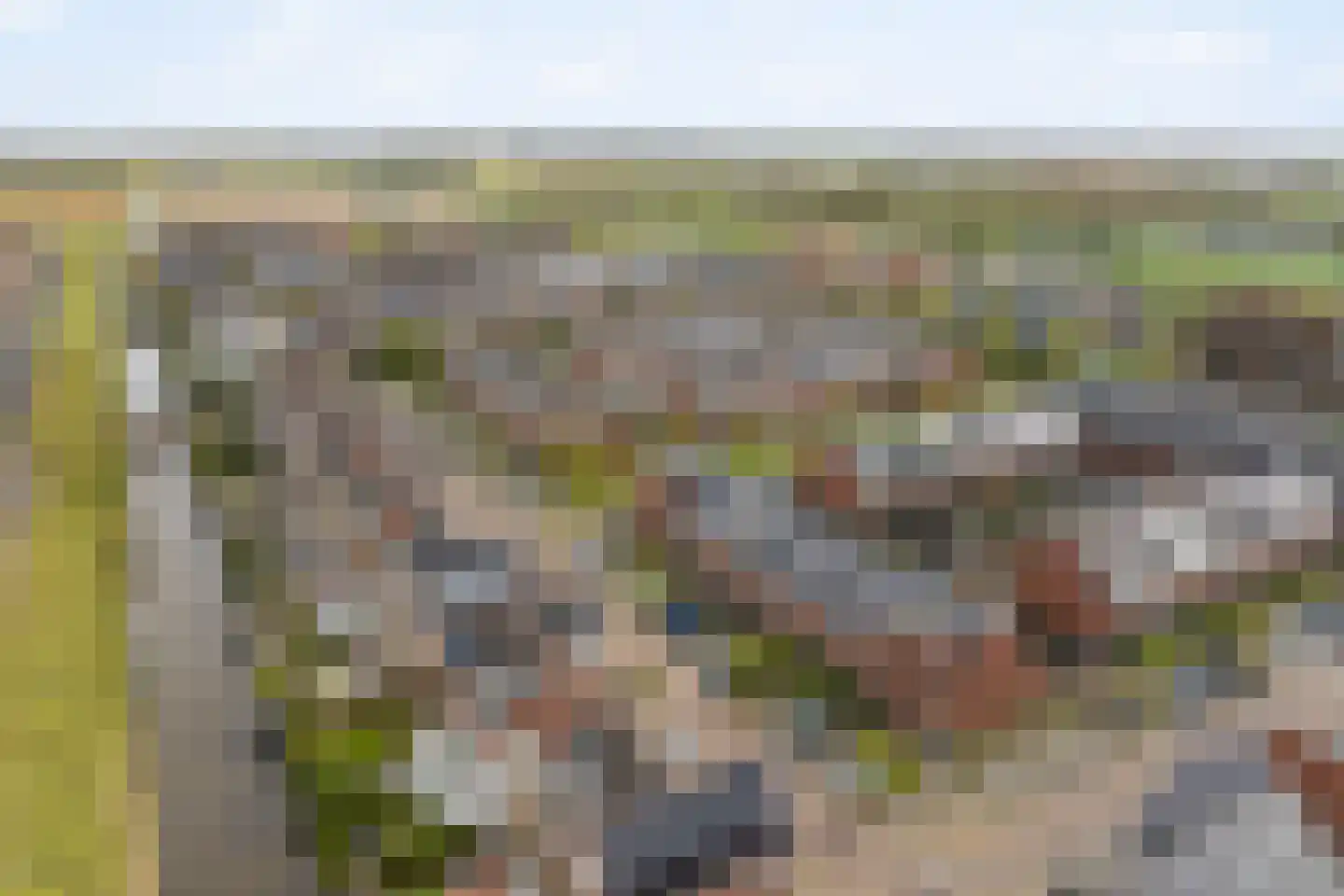 Heidestraat 4 Westerhaar-Vriezenveensewijk thumbnail 5