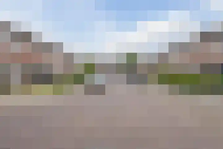 Heidestraat 4 Westerhaar-Vriezenveensewijk thumbnail 53