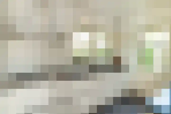 Heidestraat 41 Hilversum thumbnail 10