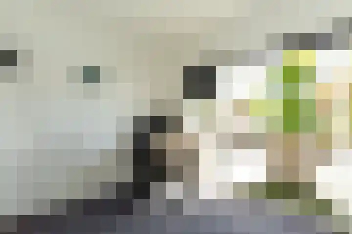 Heidestraat 41 Hilversum thumbnail 16