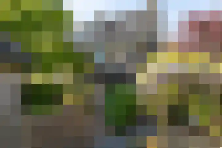Heidestraat 41 Hilversum thumbnail 24