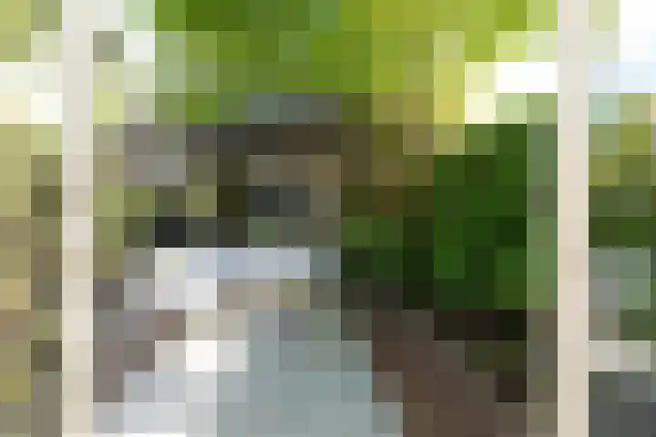 Heidestraat 41 Hilversum thumbnail 25