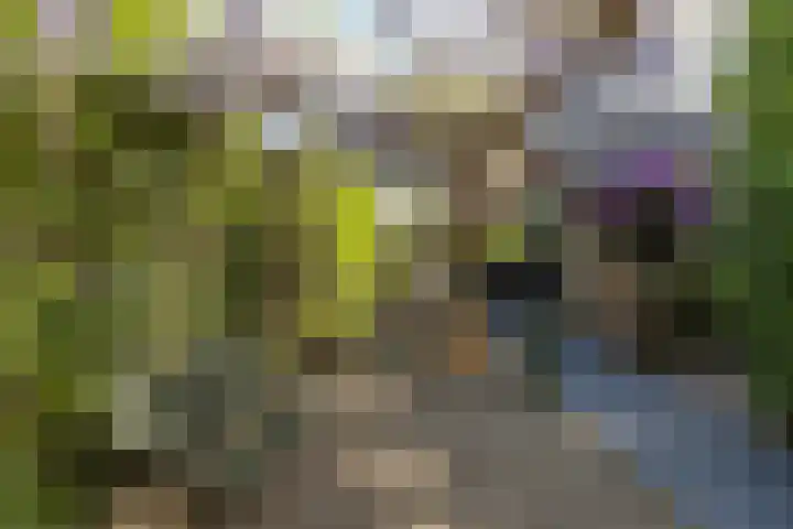 Heidestraat 41 Hilversum thumbnail 26