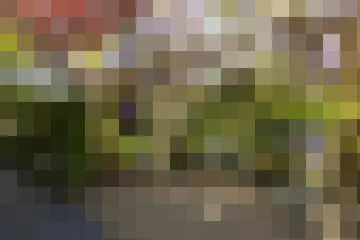 Heidestraat 41 Hilversum thumbnail 27