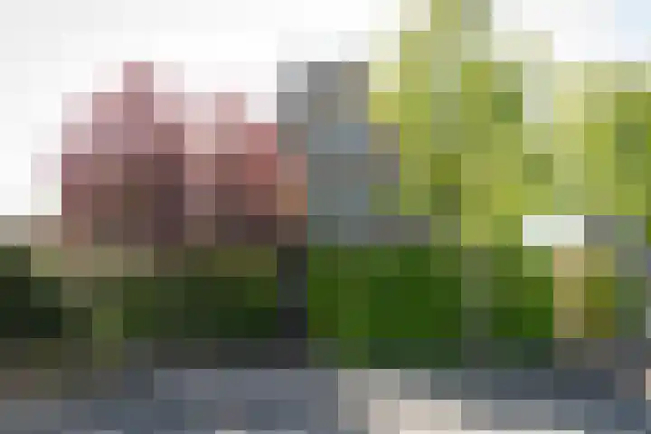Heidestraat 41 Hilversum thumbnail 29