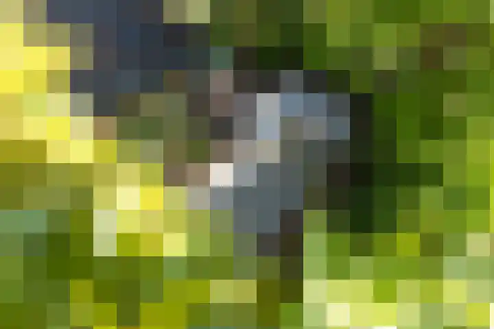 Heidestraat 41 Hilversum thumbnail 30