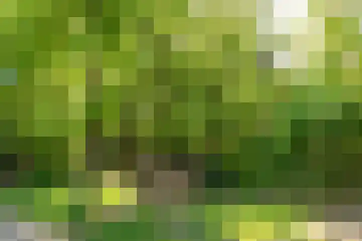 Heidestraat 41 Hilversum thumbnail 31