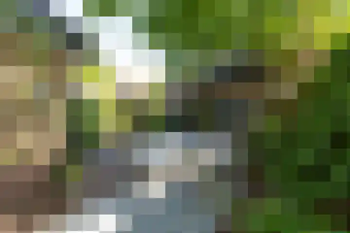 Heidestraat 41 Hilversum thumbnail 4