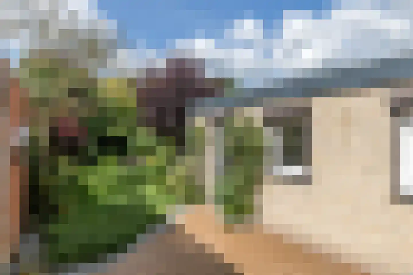 Heidestraat 5 Schinveld thumbnail 23