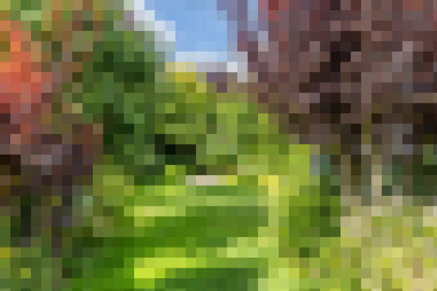 Heidestraat 5 Schinveld thumbnail 24