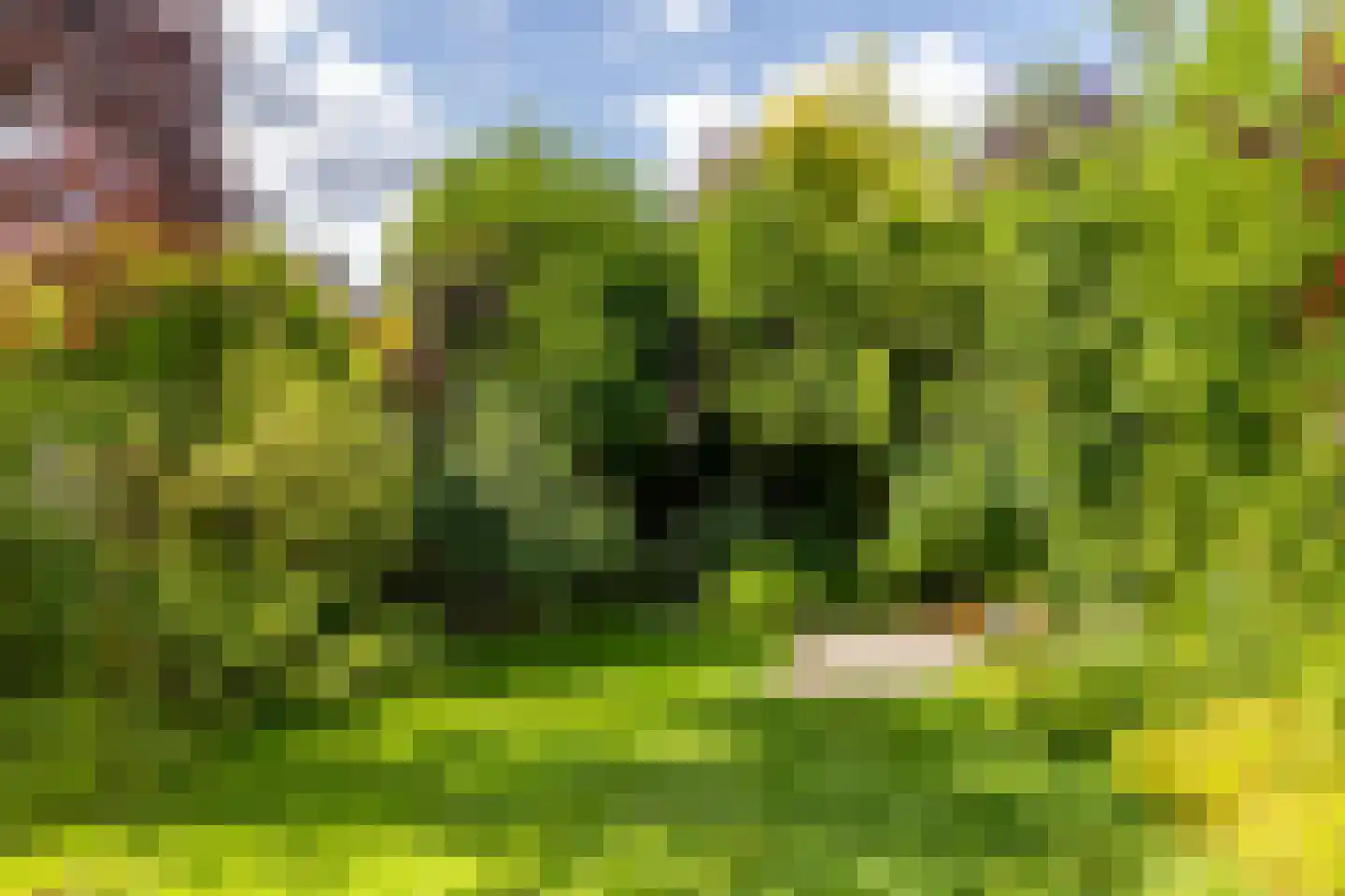 Heidestraat 5 Schinveld thumbnail 25
