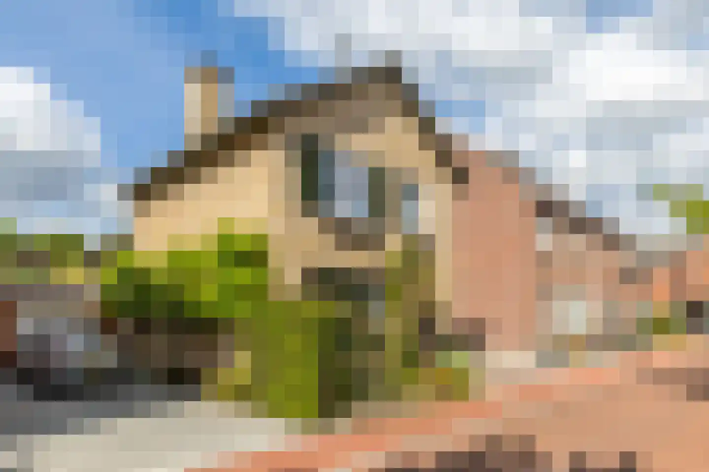 Heidestraat 5 Schinveld thumbnail 33