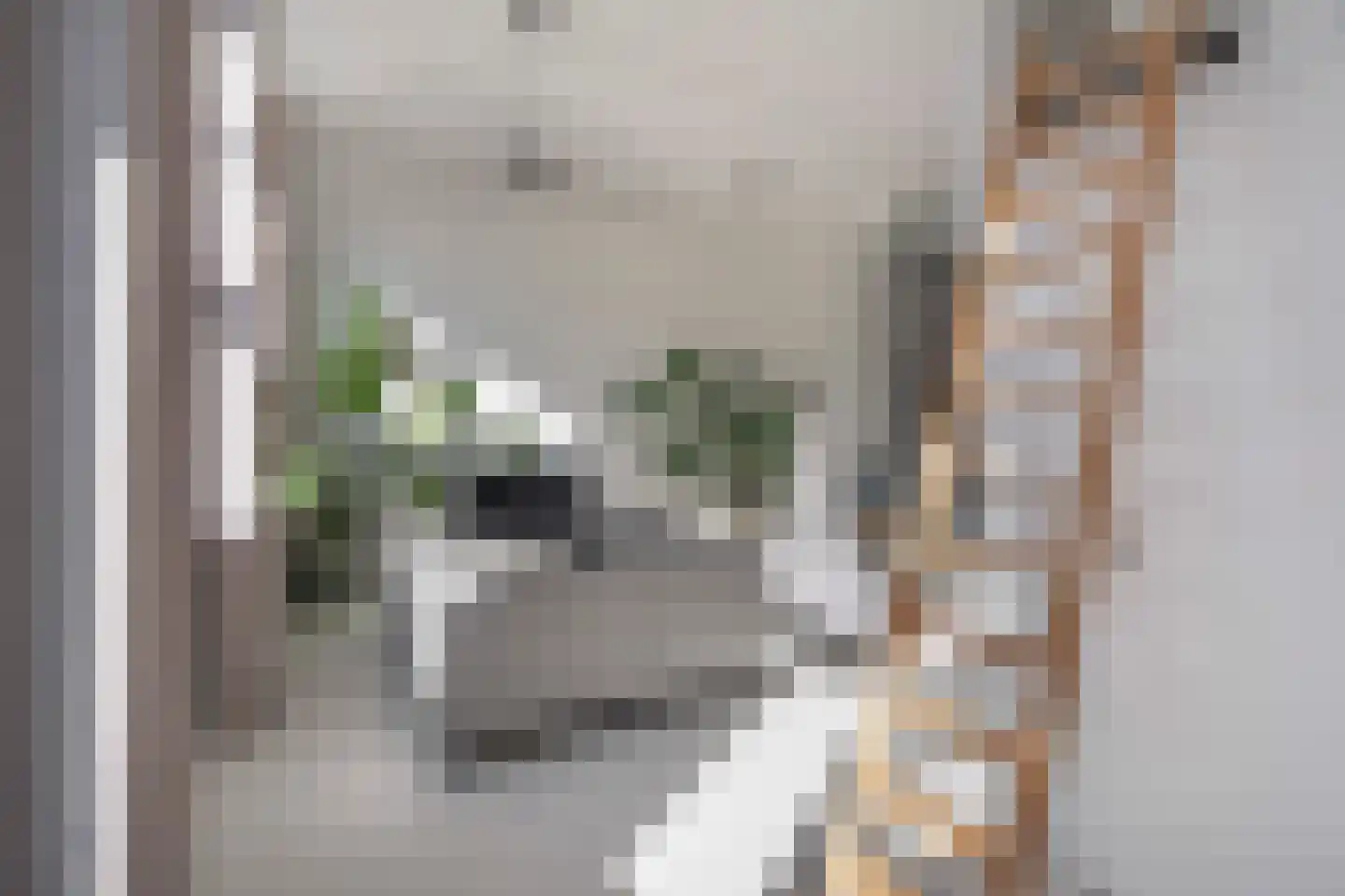 Heidestraat 8 Rotterdam thumbnail 10