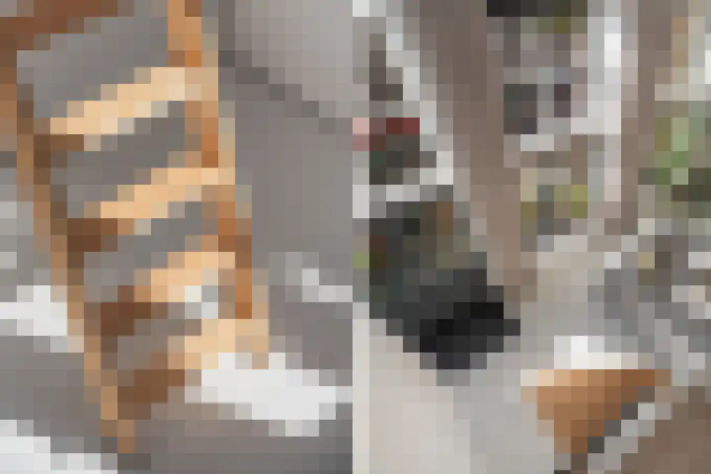 Heidestraat 8 Rotterdam thumbnail 11
