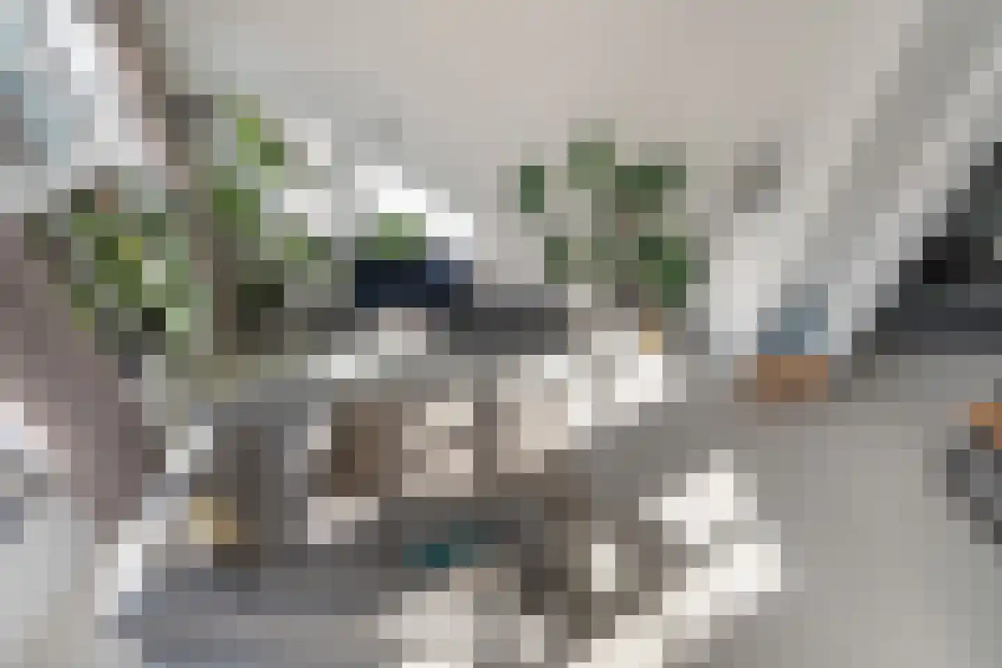 Heidestraat 8 Rotterdam thumbnail 12