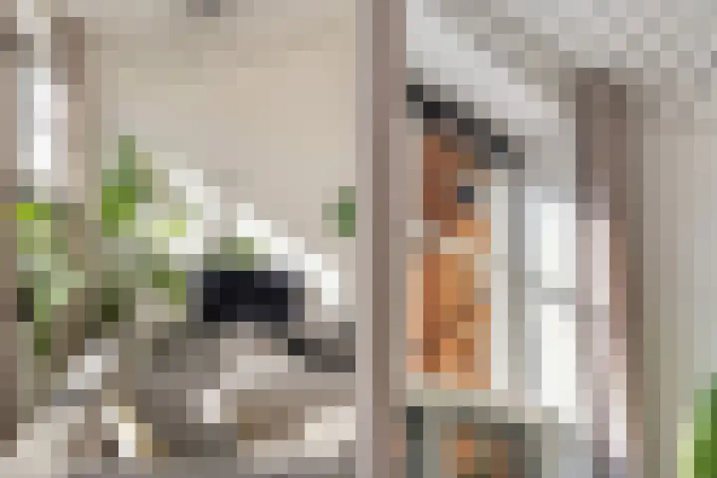 Heidestraat 8 Rotterdam thumbnail 9