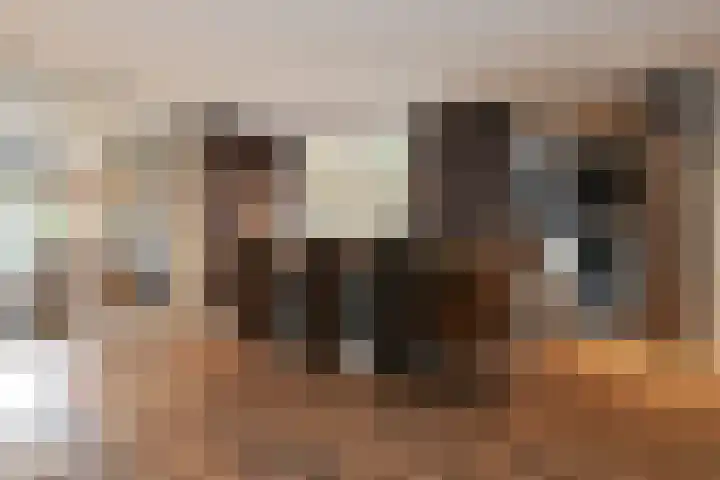 Heidestraat 88 Susteren thumbnail 16