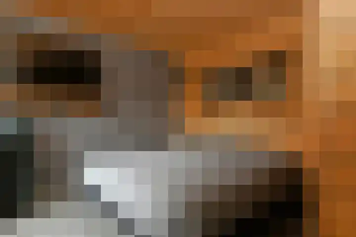 Heidestraat 88 Susteren thumbnail 17