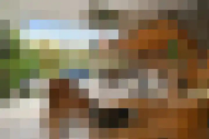 Heidestraat 88 Susteren thumbnail 19