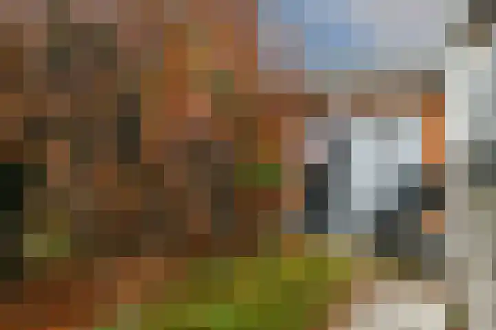 Heidestraat 88 Susteren thumbnail 21