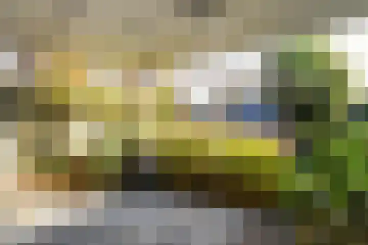 Heidestraat 88 Susteren thumbnail 22