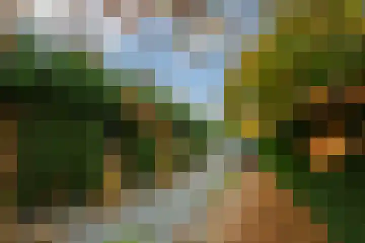 Heidestraat 88 Susteren thumbnail 32