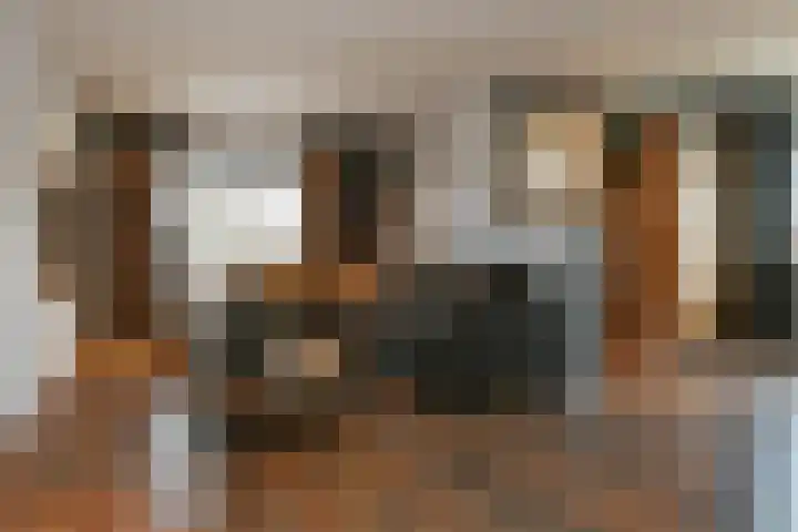 Heidestraat 88 Susteren thumbnail 4