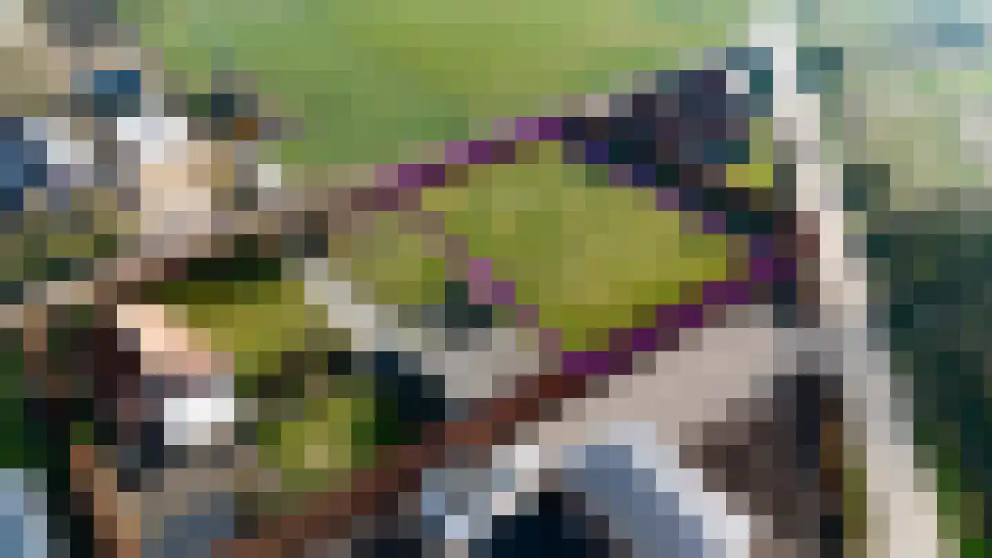 Heidestraat Siebengewald thumbnail 4