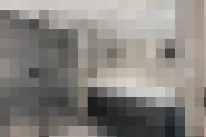 Heidetuin 135 Houten thumbnail 17