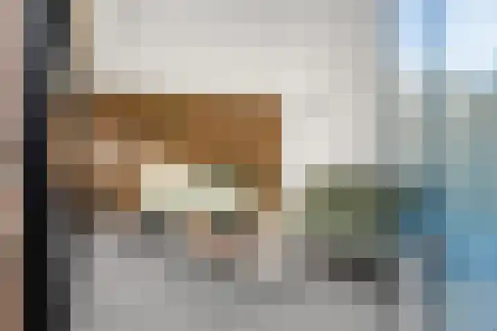 Heidetuin 135 Houten thumbnail 28