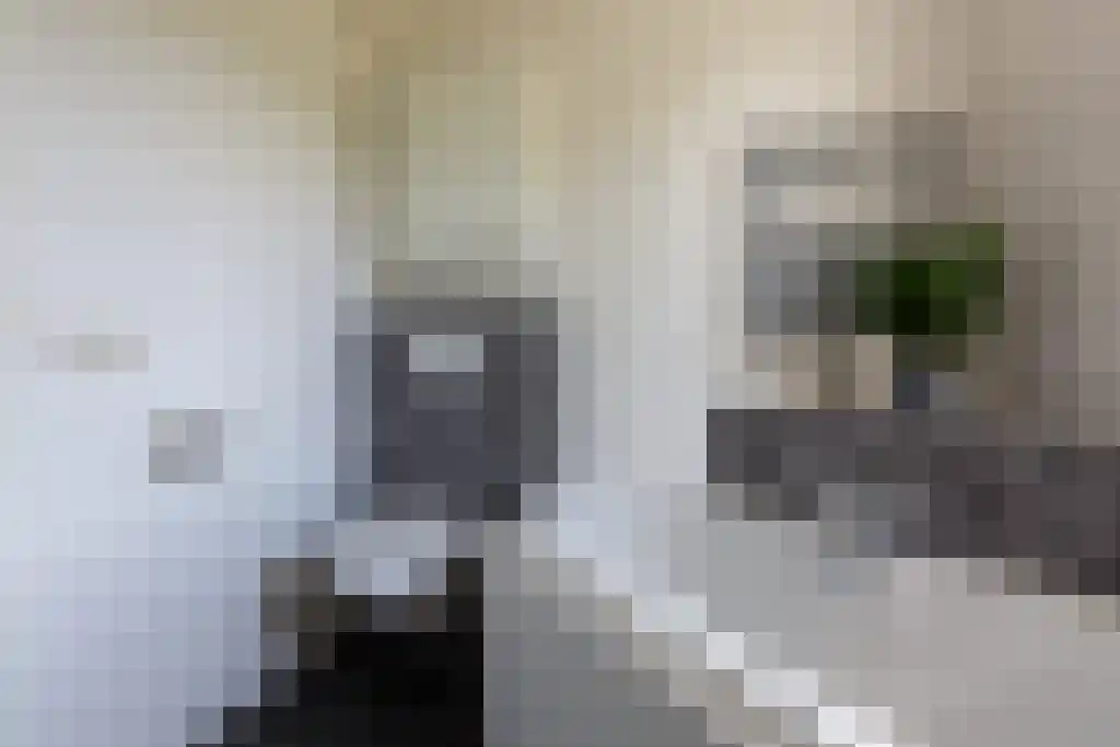 Heidetuin 99 Houten thumbnail 33