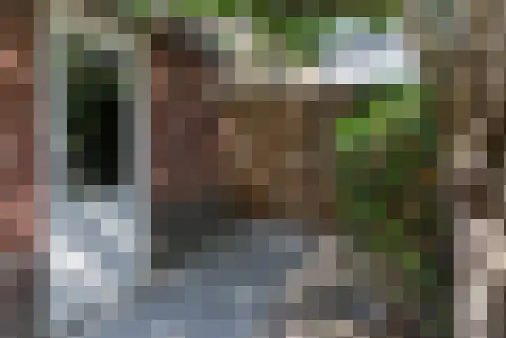 Heidetuin 99 Houten thumbnail 50