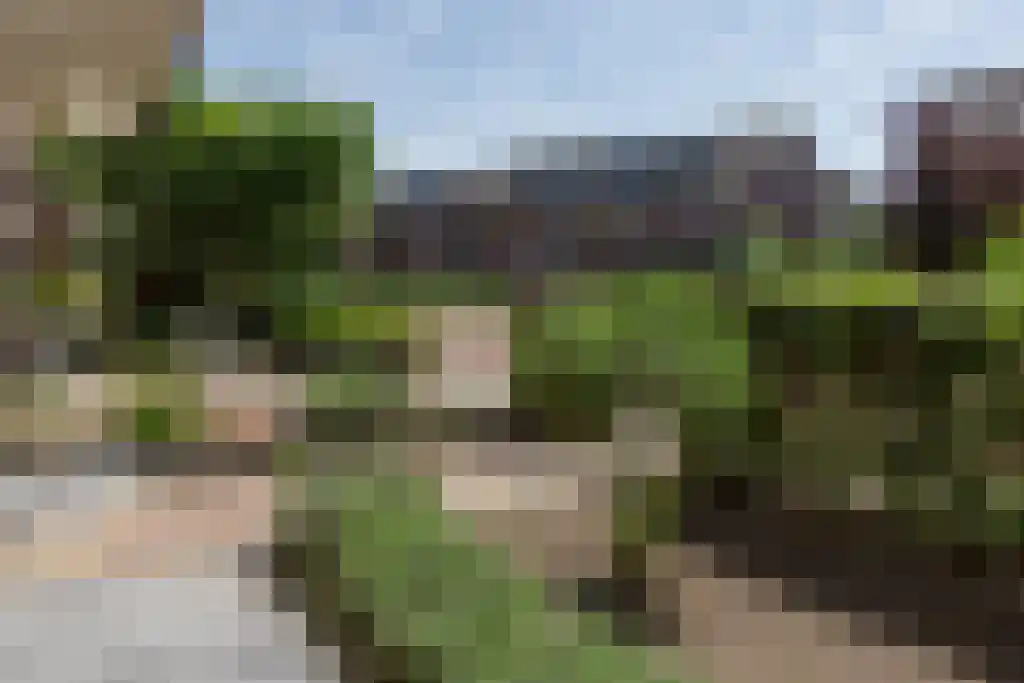 Heidetuin 99 Houten thumbnail 58