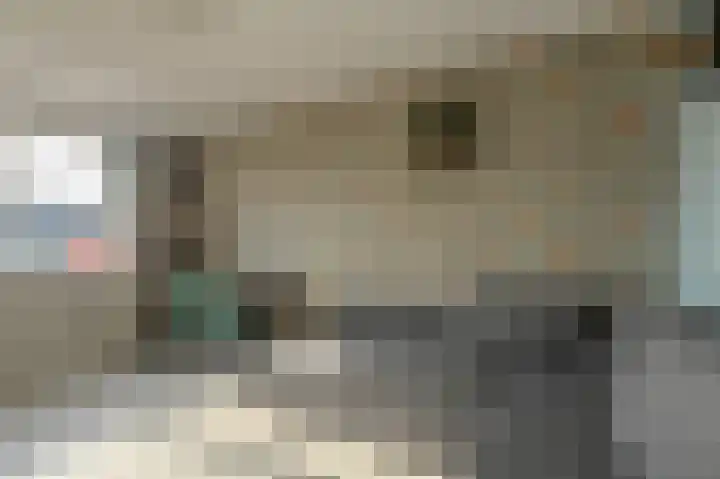 Heideveen 11 Breda thumbnail 28